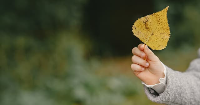 Micromeditations to Reduce Stress and Anxiety
