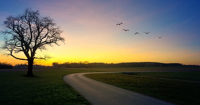 The Power of Self-Healing - Techniques for Lasting Well-Being