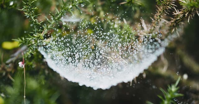 How Self-Healing Meditation Can Transform Your Mind & Body