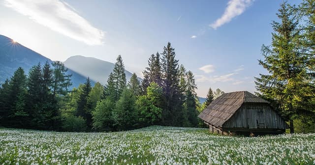 Guided Meditation to Manage Stress And Anger