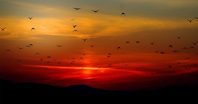Disassociation Technique To Overcome Self Doubt