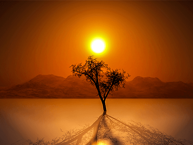 Elevate Your Life Through The Power Of Perspective
