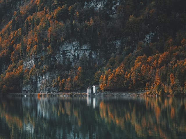 Letting Go: A Guide To Emotional Freedom