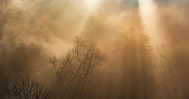 Breathing Exercises To Release Emotions