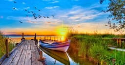 Transform Your Relationship With Money