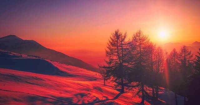 Step 5: The Power Of Gratitude: A Manifestation Magnet