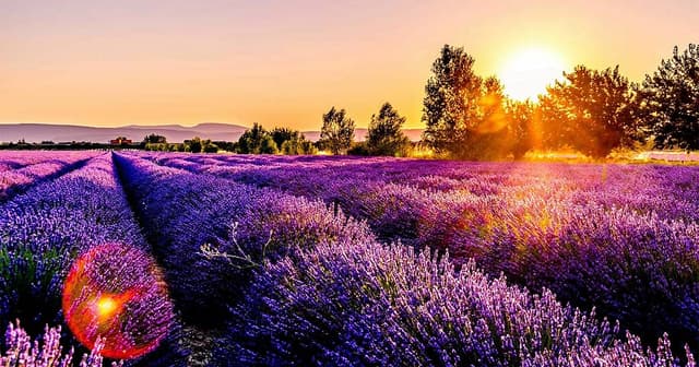 Guided Hypnosis Script To Attract Meaningful Relationships
