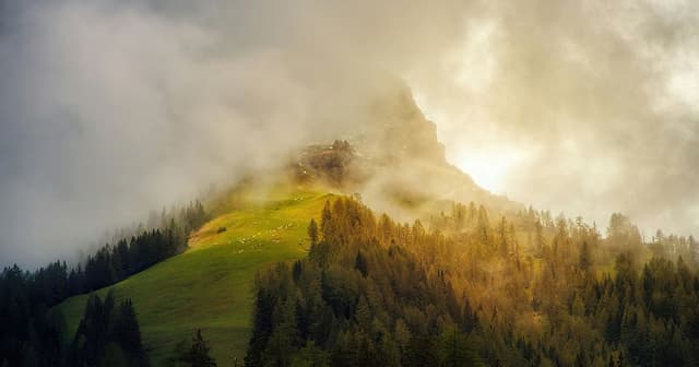 The Science Behind Mindfulness And Reducing Anxiety