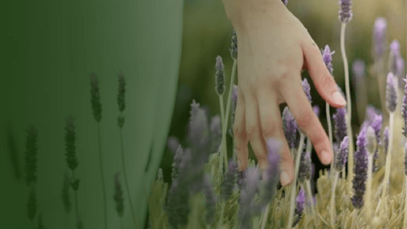 Restorative Yoga For Real Relaxation