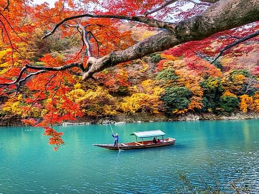 Cultivate A Grateful Mindset For Abundance And Positivity
