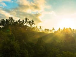 Morning Meditation To Align Your Day