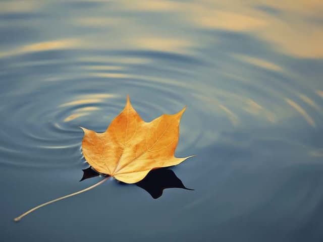 How To Gain Fulfillment And Inner Peace