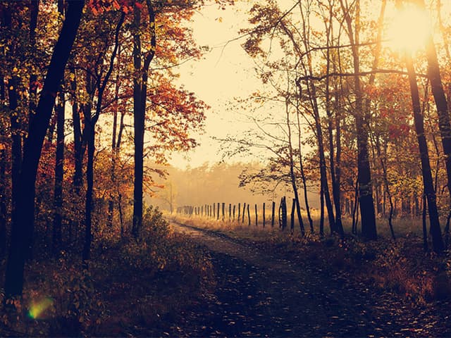 Habit Building To Achieve Your Goals