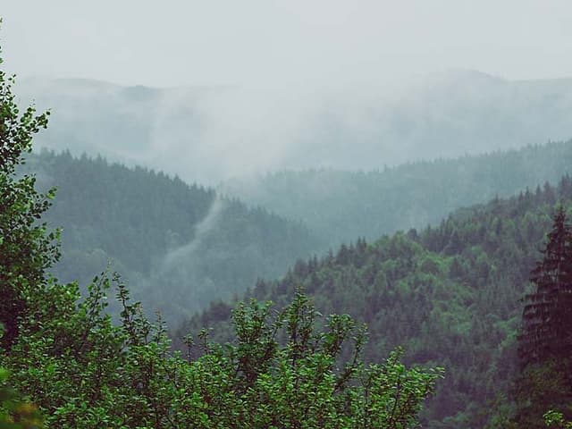 Breathwork For Clearing The Mind And Releasing Stress