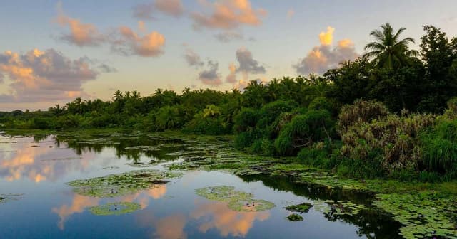 Morning Manifestation Practice To Cultivate Gratitude