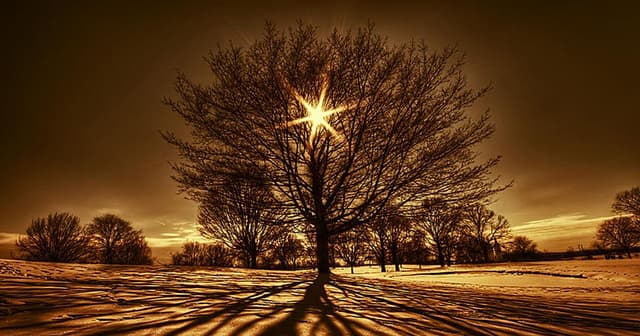 The Power Of Manifestation
