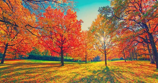 Deep Meditation To Remove Blockages